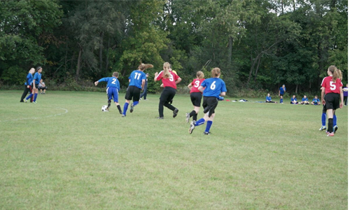 Welcome to Hillsdale County AYSO